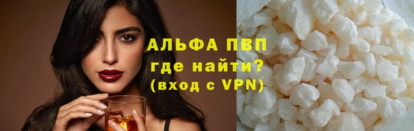 стаф Абинск