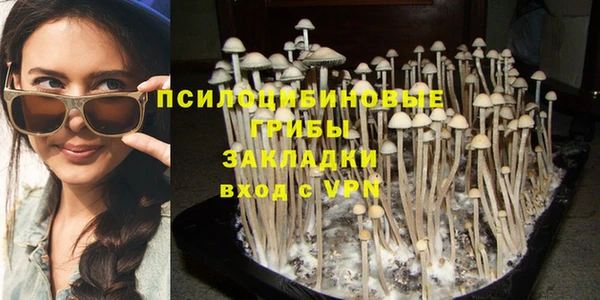 дурь Абдулино