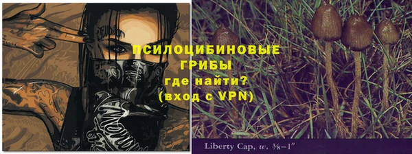 дурь Абдулино