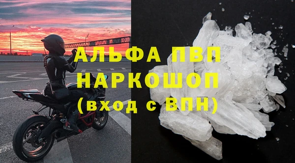 стаф Абинск