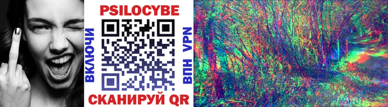Псилоцибиновые грибы Psilocybe  Кимовск 