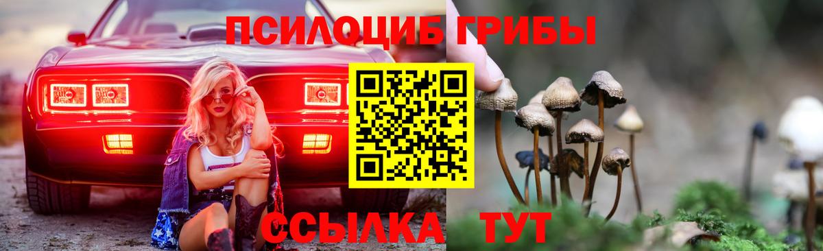 Псилоцибиновые грибы GOLDEN TEACHER Кимовск